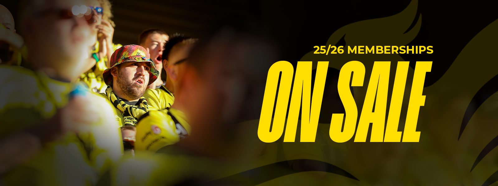 Wellington Phoenix